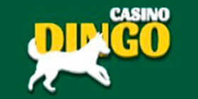 Casino - Dingo - Spinataque